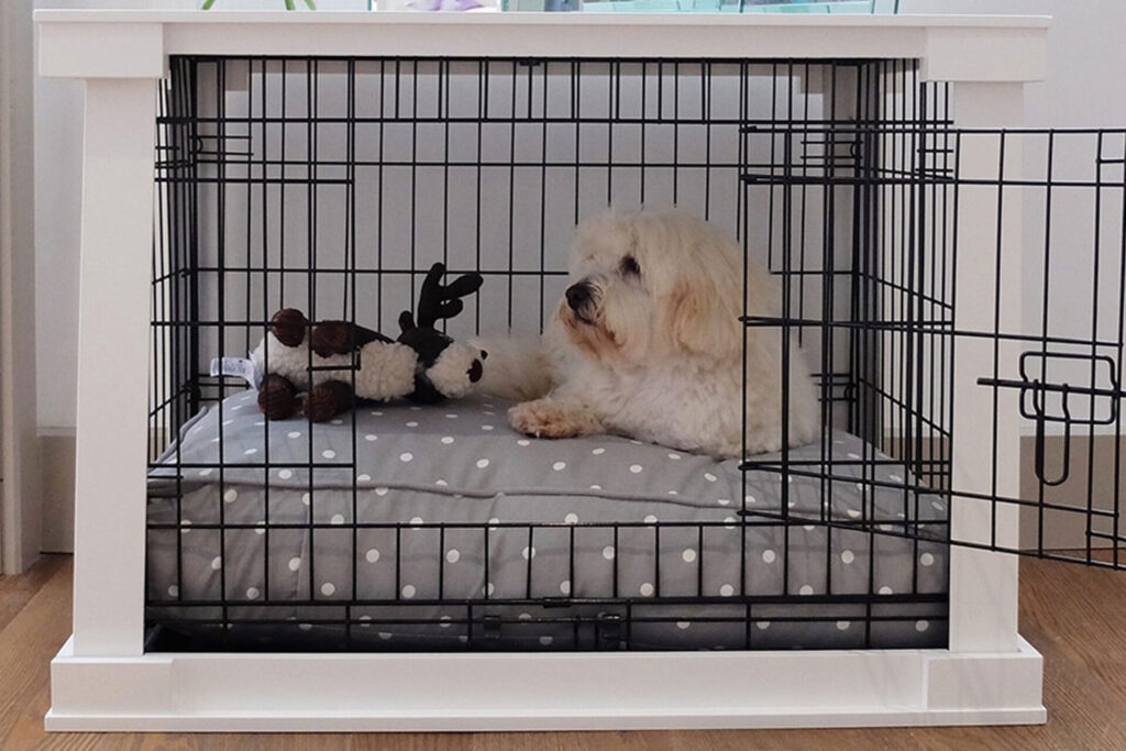 Give Your Pup a Safe Haven: The Ultimate Guide to Dog Crates