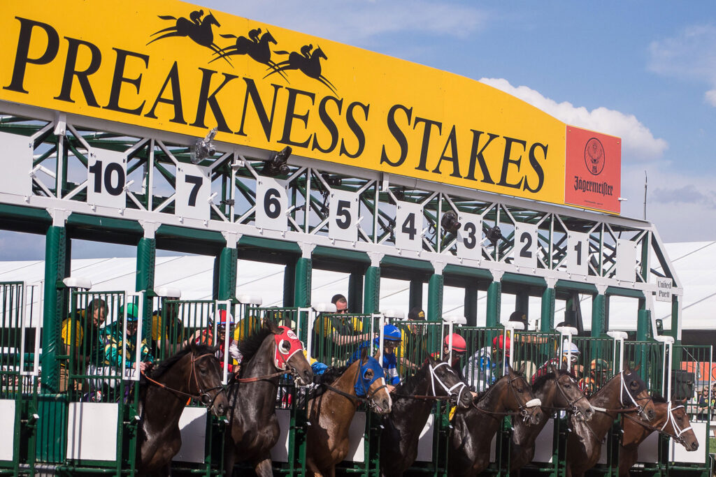 Preakness Stakes 2024: Can Anyone Catch the Contenders?